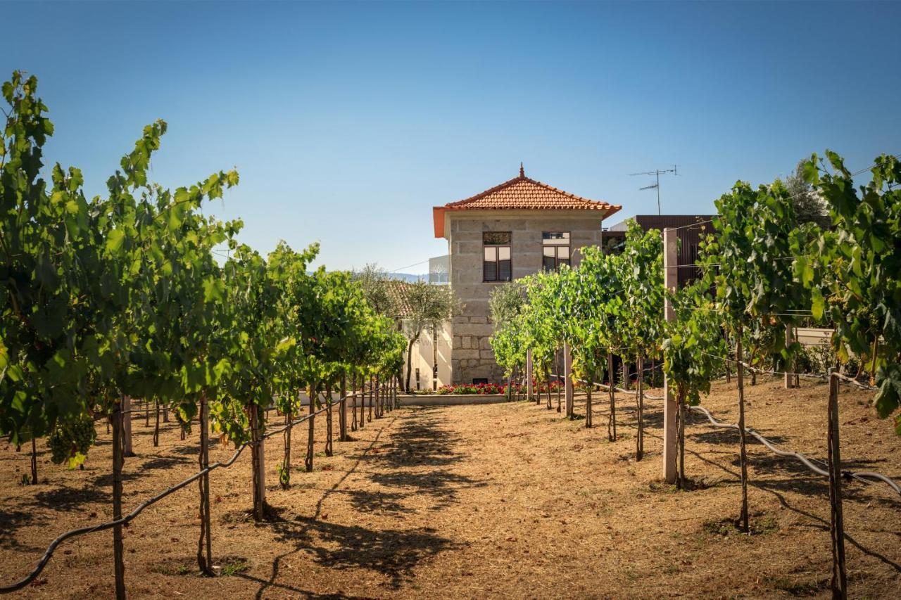 Quinta Do Aido - Winetourism Villa Cinfães Dış mekan fotoğraf